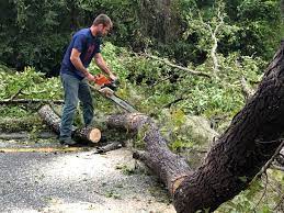 Best Utility Line Clearance  in Onalaska, TX